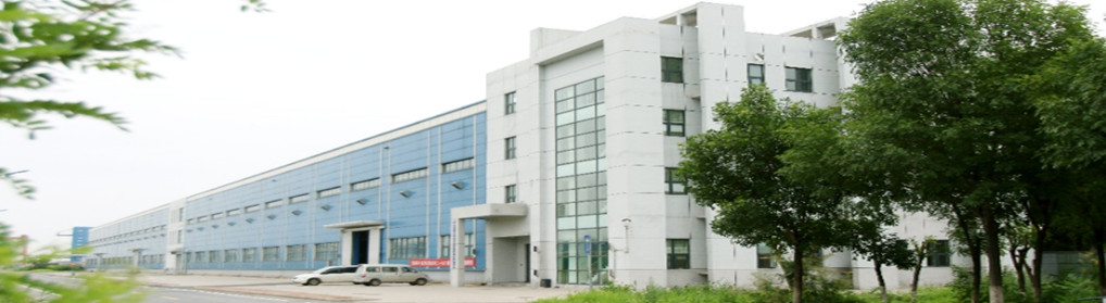 Maschine für weiche Kapseln mit Servokontrolle
