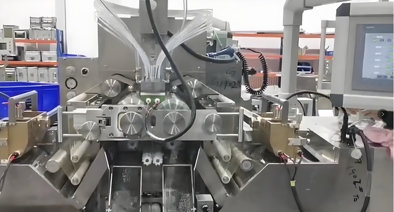 Maschine für weiche Kapseln aus Edelstahl mit einer Rollgeschwindigkeit von 1-3,5 Rpm